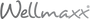 Wellmaxx logo in a modern, minimalist design, representing innovation in wellness and beauty.