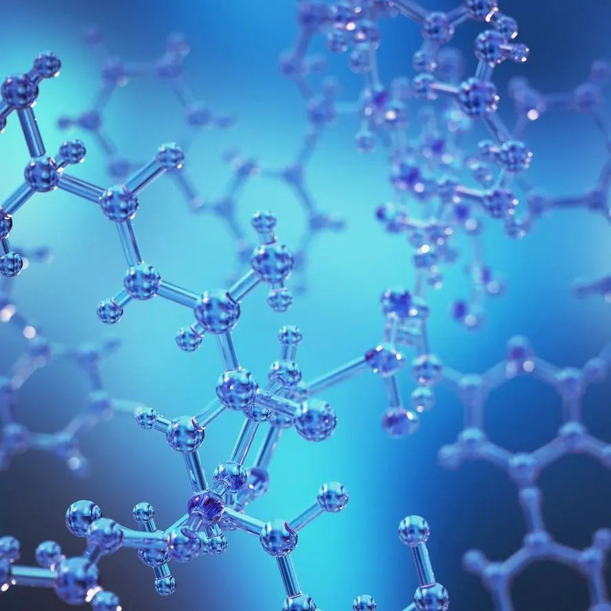 Peptide-verstehen-Eine-komplette-Einführung-in-Wirkung-und-Nutzung wellmaxx-swiss