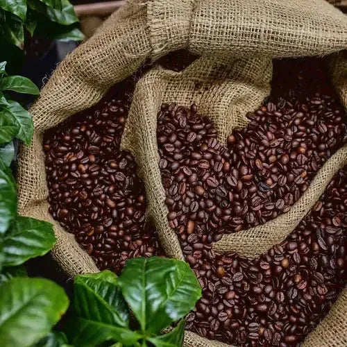 [product_title]-[product_type]-[product_vendor]