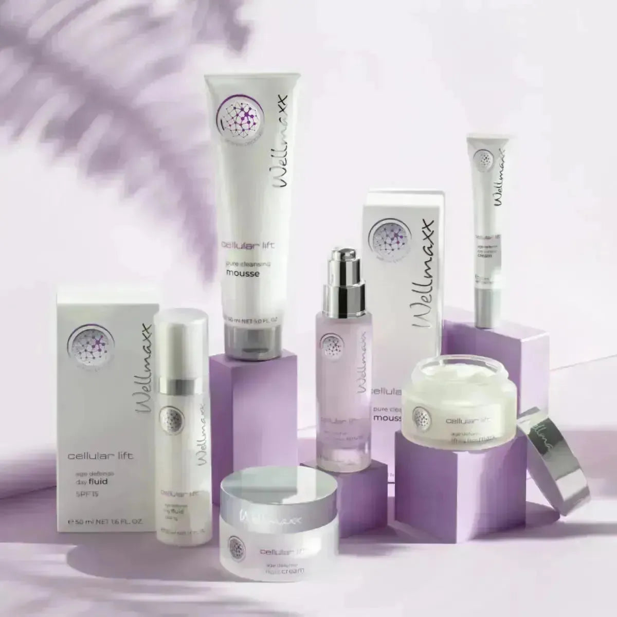 Welches-sind-die-besten-Wirkstoffe-in-der-Anti-Aging-Kosmetik wellmaxx-swiss