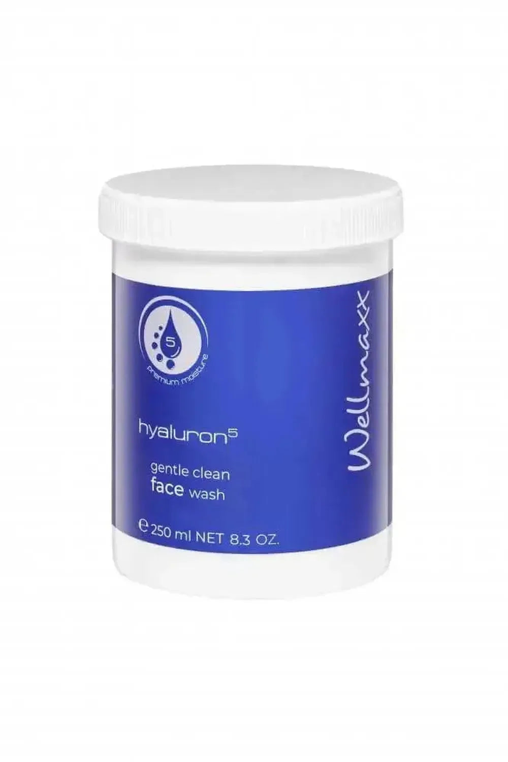 250ml container of Hyaluron⁵ sanftes Gesichtswaschgel gentle clean face wash by Wellmaxx