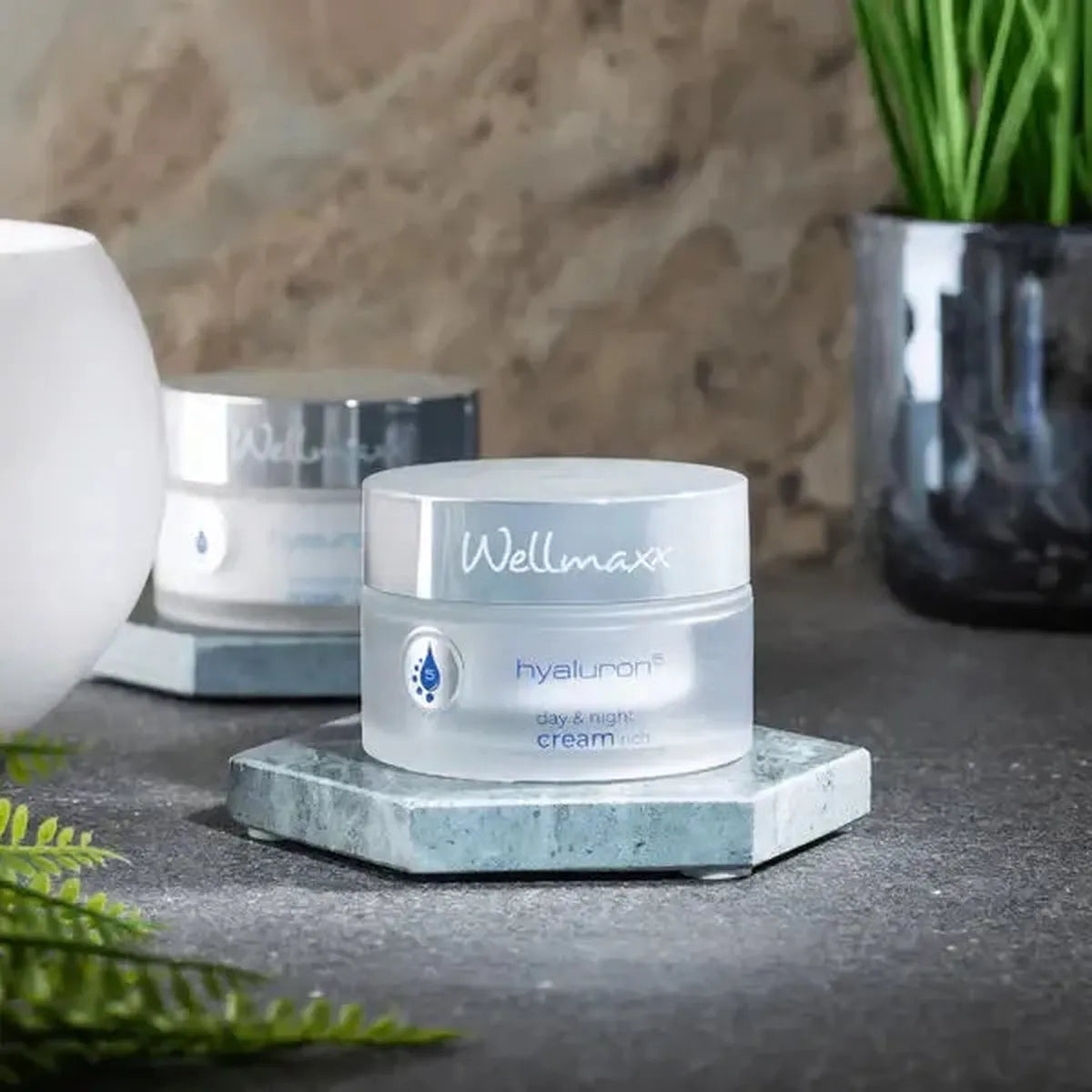 hyaluron⁵ day & night cream rich-anti-aging cosmetic-Wellmaxx