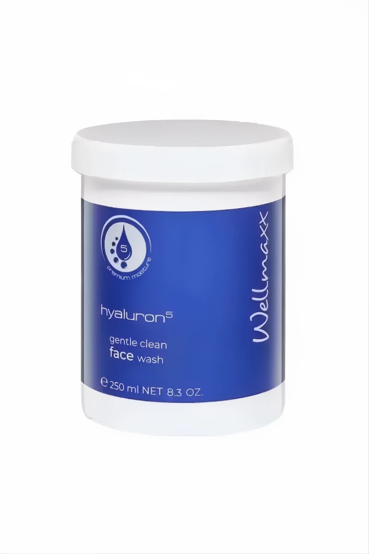 250ml container of Hyaluron⁵ sanftes Gesichtswaschgel gentle clean face wash by Wellmaxx